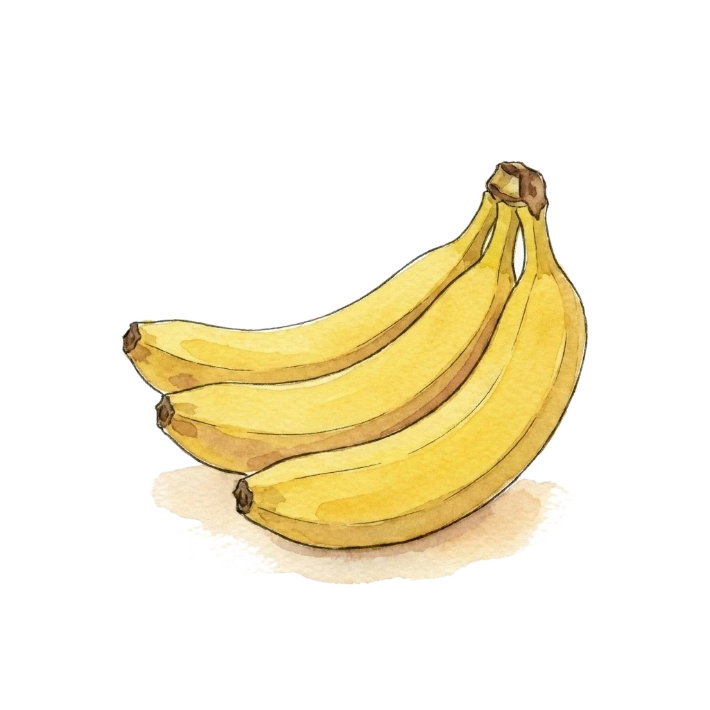 香蕉水彩插画