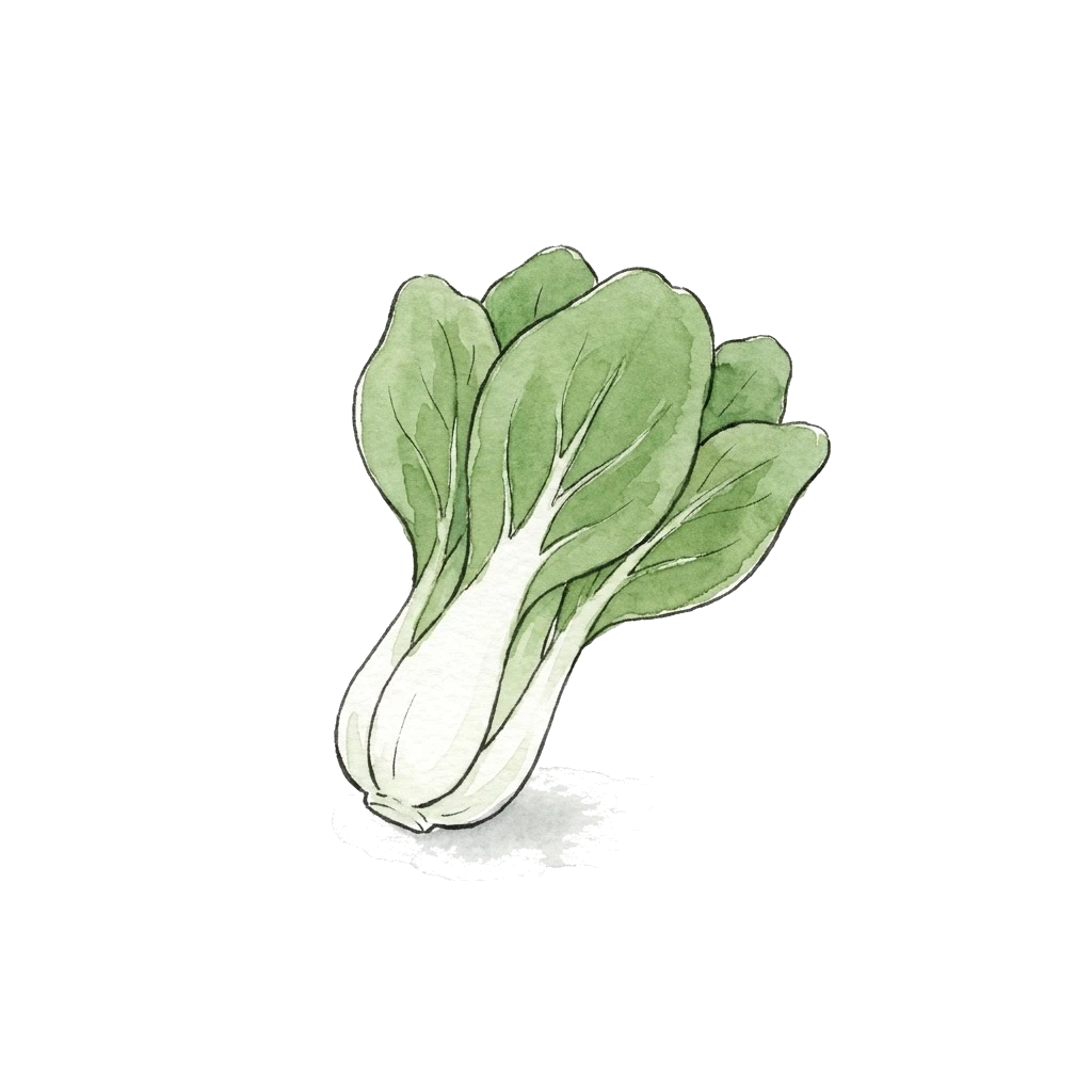 小白菜水彩插画