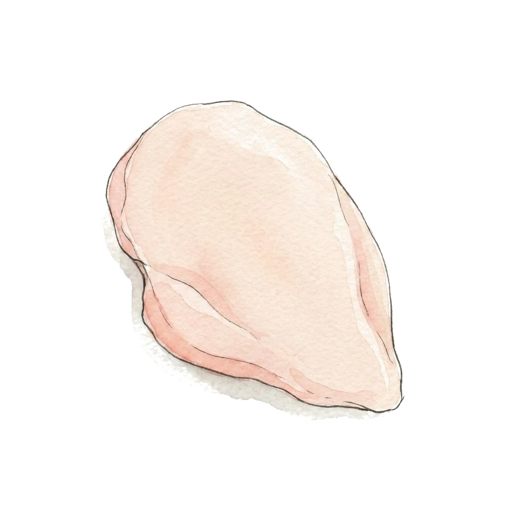 鸡肉水彩插画