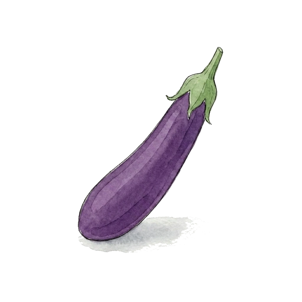 茄子水彩插画