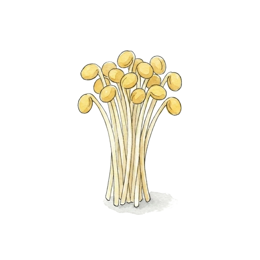 黄豆芽水彩插画
